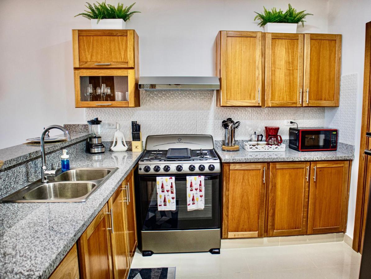 Super Luxurious L6 Sky Blue Apartment Santo Domingo Buitenkant foto