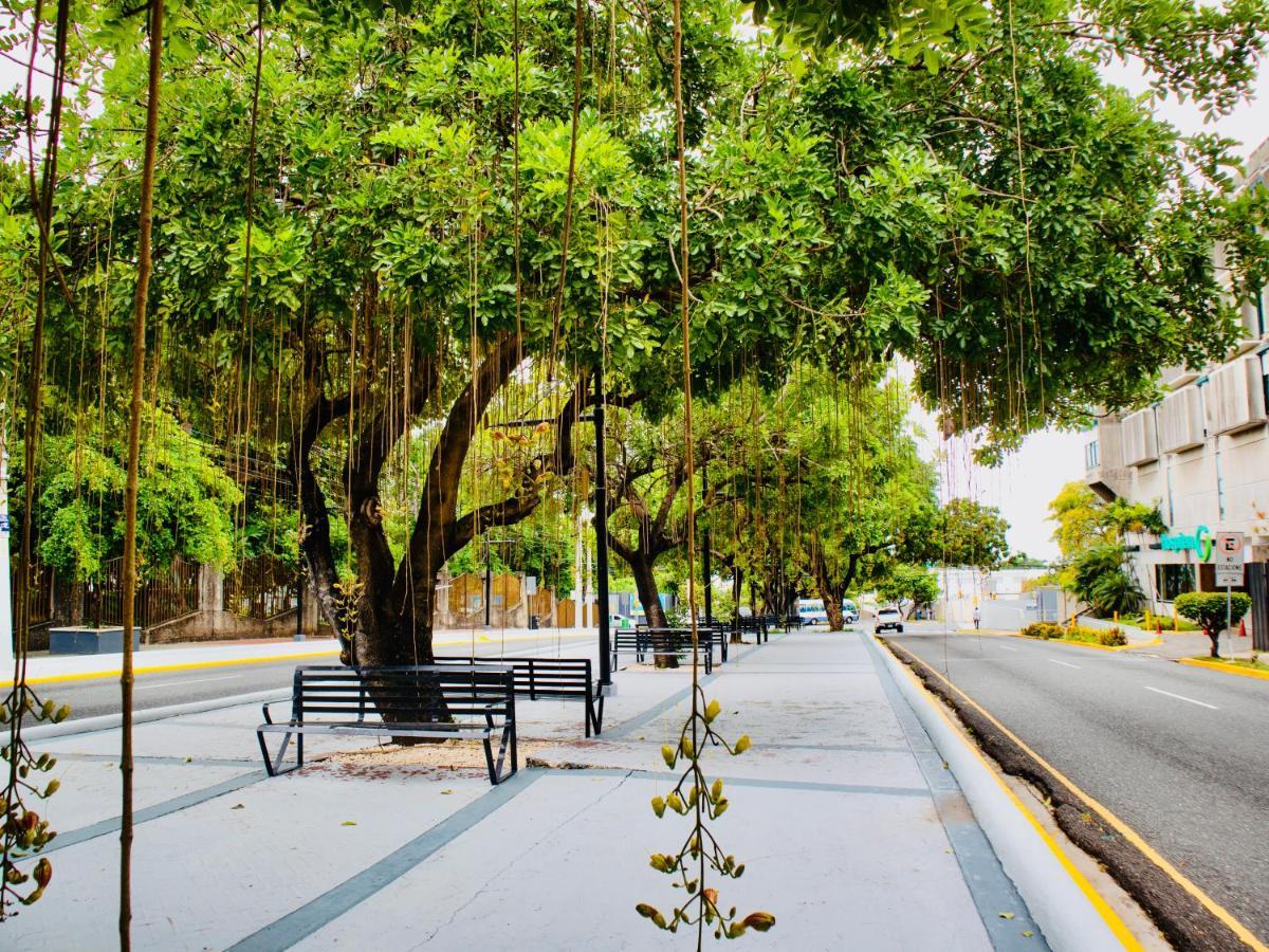 Super Luxurious L6 Sky Blue Apartment Santo Domingo Buitenkant foto
