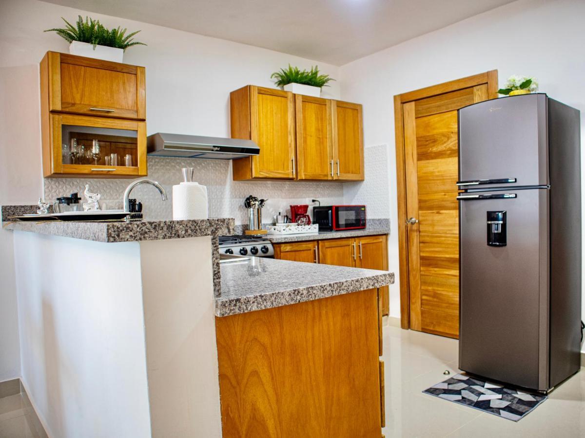 Super Luxurious L6 Sky Blue Apartment Santo Domingo Buitenkant foto